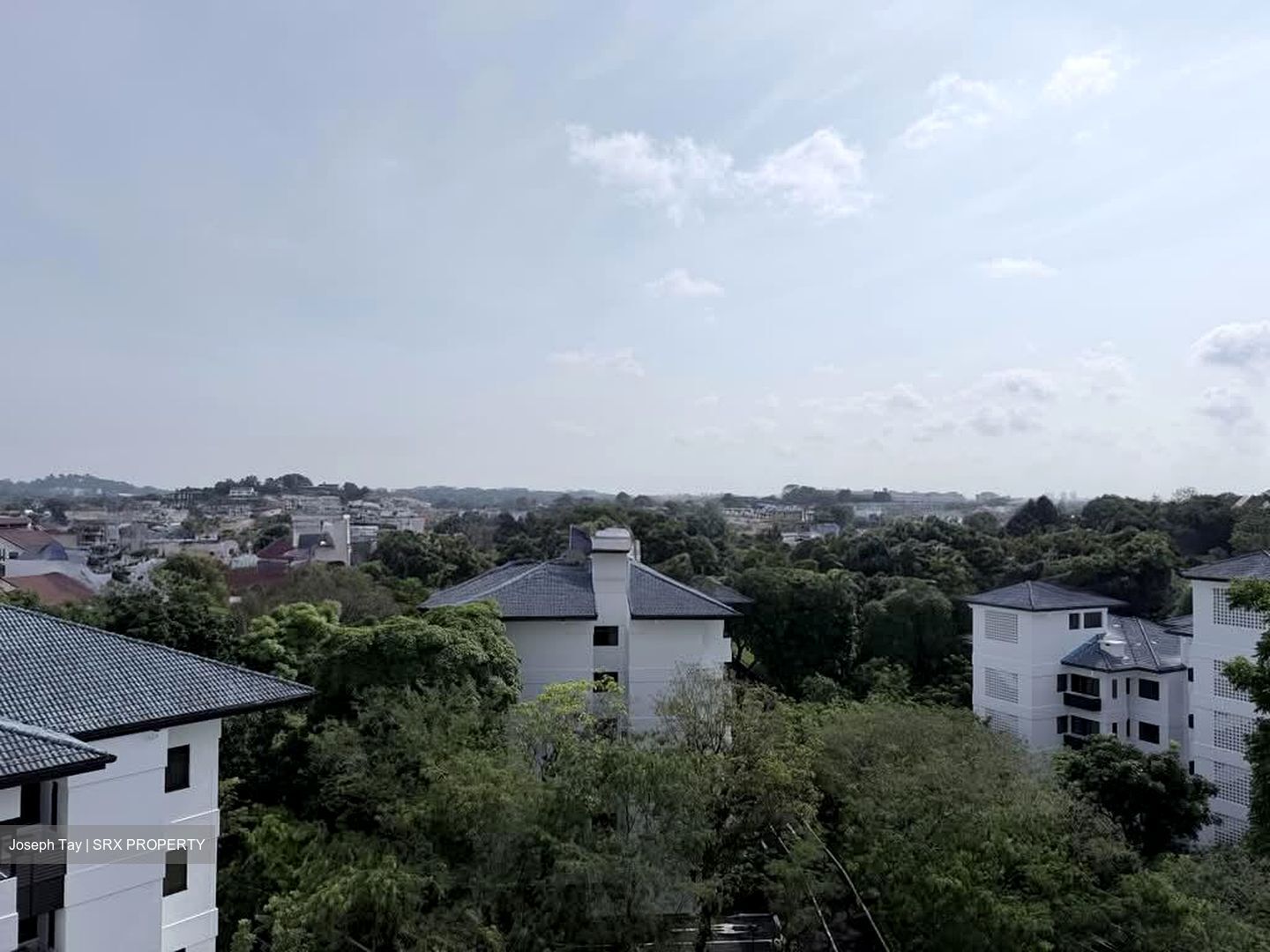 Astrid Meadows (D10), Condominium #596545521